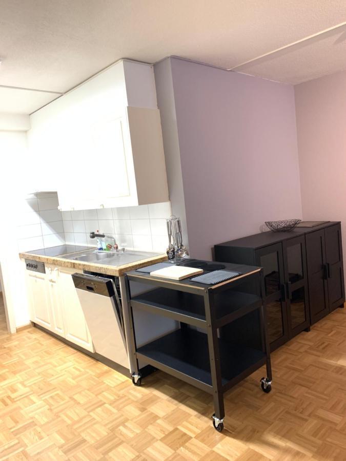 Xl City Center Apartment-Contactless Check-In بازل المظهر الخارجي الصورة